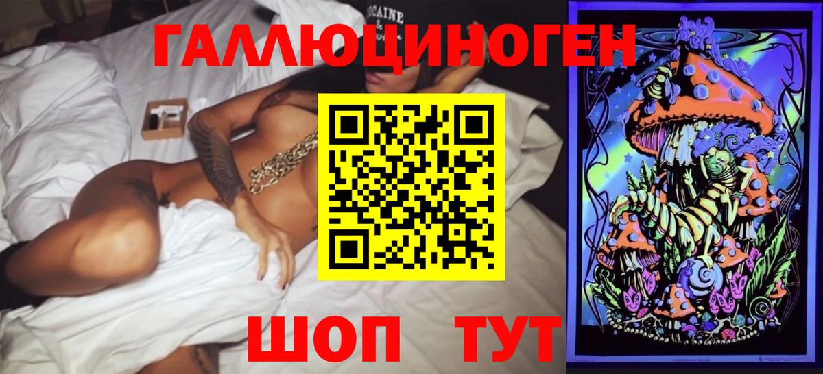 Галлюциногенные грибы MAGIC MUSHROOMS  Вход с VPN  купить наркотики сайты  Большой Камень  Псилоцибиновые грибы Magic Shrooms 