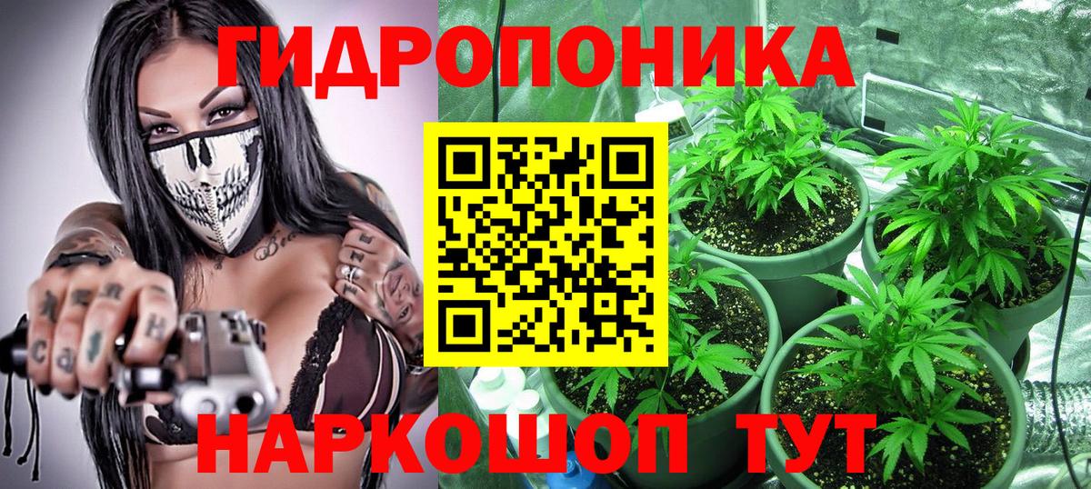 Бошки марихуана семена Большой Камень